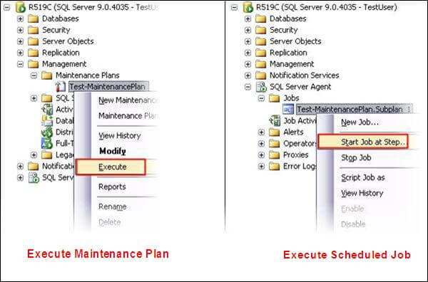 The Maintenance Plans folder may be in a slightly different location in SQL Server 2005 and 2008, but it will be under the Management folder