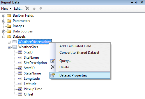 SQL Server Reporting Services Dataset Properties