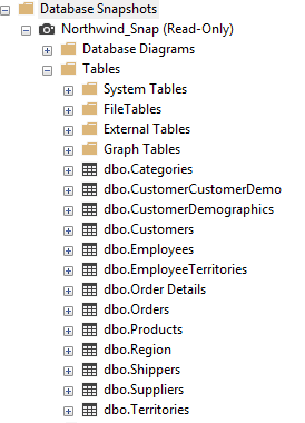 database snapshot contents