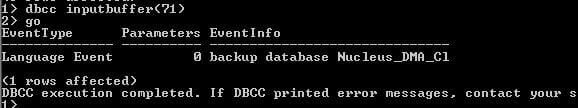 run dbcc inputbuffer using spid