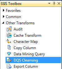 DQS Cleansing appears as shown 