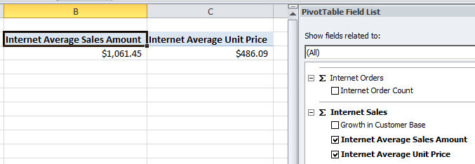 click the Internet Average Sales Amount and the Internet Average Unit Price of the company in Excel.