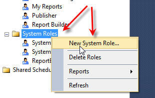 New System Role