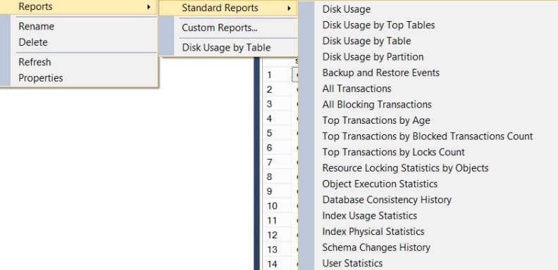 Standard Reports on the Database Object
