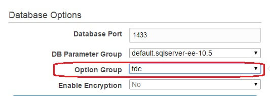 Chosing Option Group when creating an RDS instance