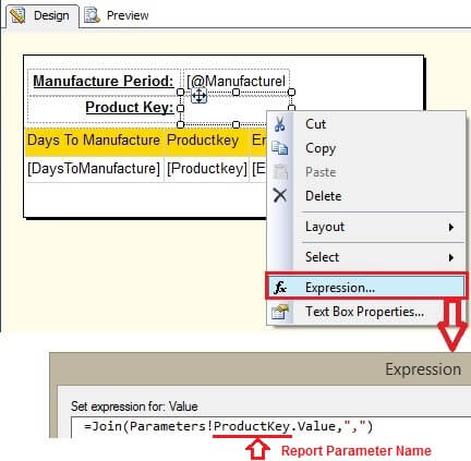 ProductKey Report Parameter Expression