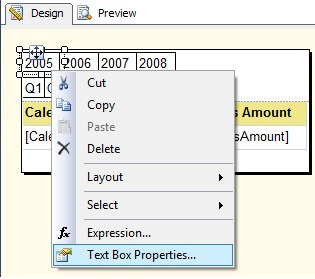 Year 2005 Tab Textbox Properties Window
