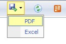 Only_PDF_Excel_Rendering_Options