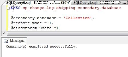 Run sp_change_log_shipping_secondary_database