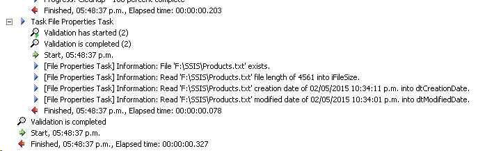 Screen Capture of the Execution Log.