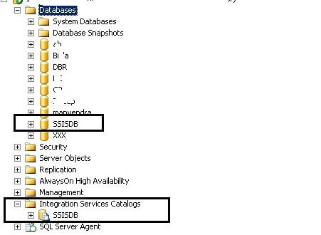 SSISDB database and catalog in SSMS