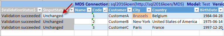 Conflict merged in Excel Add-in for SQL Server Master Data Services