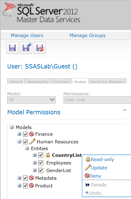 Set permissions in SQL Server Master Data Services
