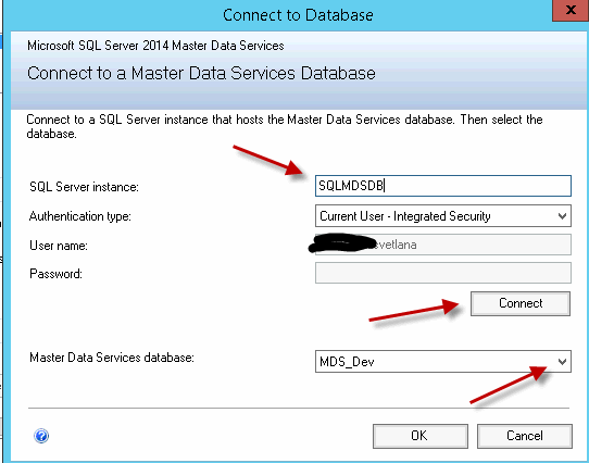 Connect to Database for SQL Server Master Data Services