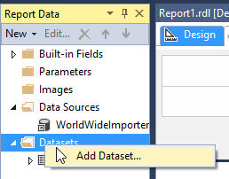 Add data set in SSRS