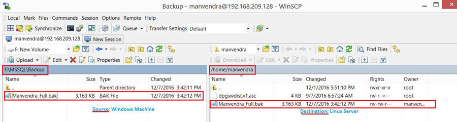 WinSCP of the SQL Server Backup Files