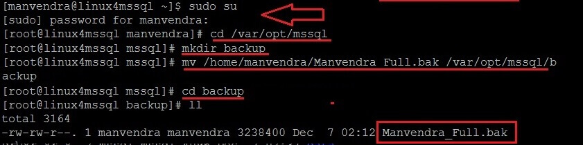 copy the SQL Server backup file to the backup folder