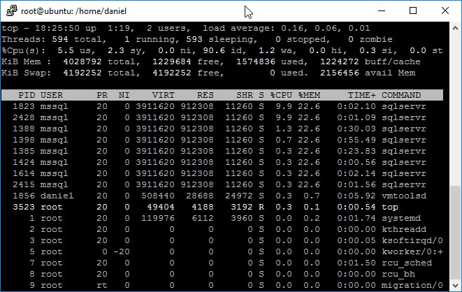 Screen capture of Linux top command.