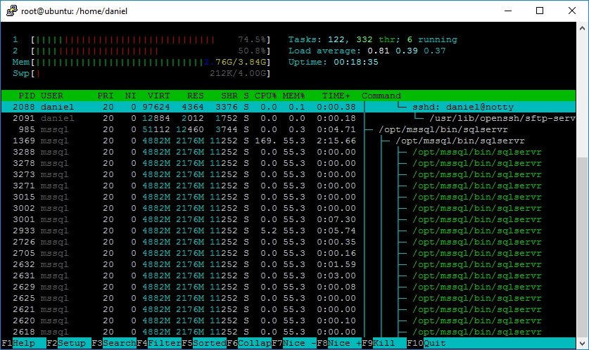 Screen capture of htop command output.