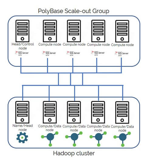 hadoop cluster and PolyBase Scale-out Group
