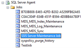 ssis maintenance job - Description: ssis maintenance job