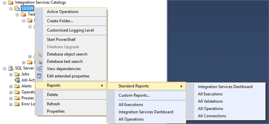 ssis catalog reports context menu