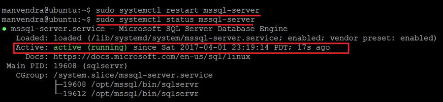 restart sql server service