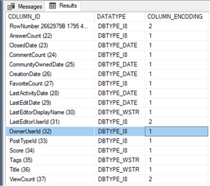 Verify the encoding method for columns with a SQL Server DMV