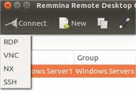 Remmina Remote Connection Installed Plugins