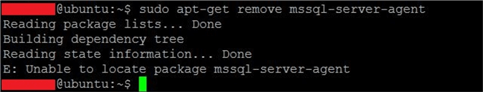 sql server command line linux