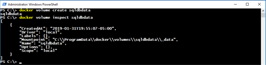 Docker volume inspect command in PowerShell