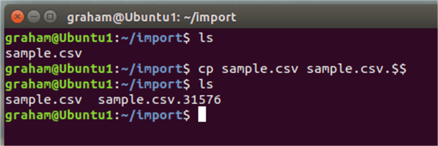 cp linux command