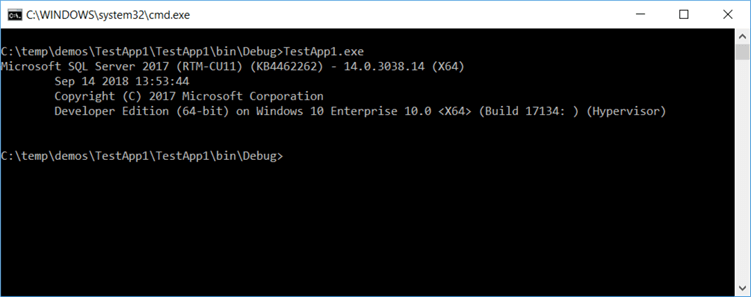 This is the output when running our demo C# program "TestApp1".
