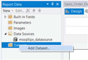 The screenshot demonstrates how to select the Add Dataset item from the context menu.