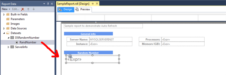 Random number embedded in the SSRS Report