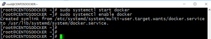 Start the Docker daemon and enable it to automatically to launch on server boot