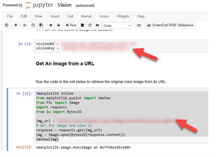 Python code needed to get image from URL