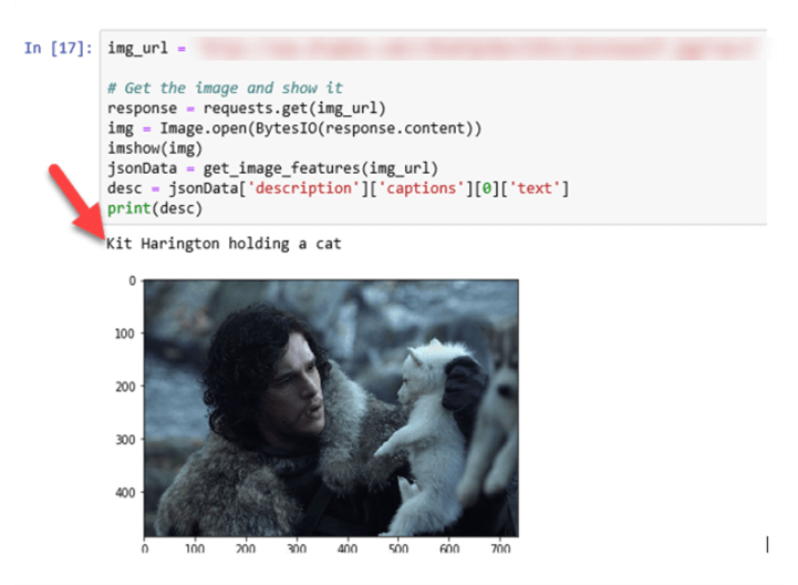 Analyze image with Man holding a wolf.