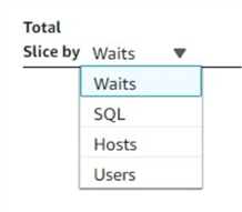 Users can choose to slice the database load by any of the four attributes
