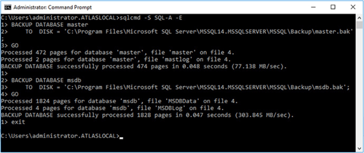 Using sqlcmd to back up the master and msdb databases.
