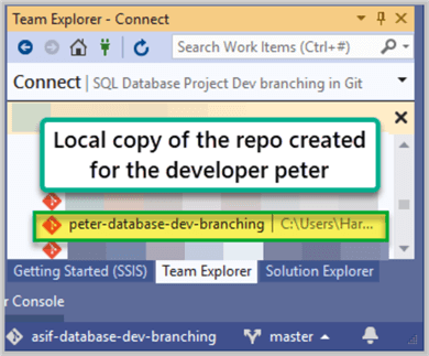 Local copy of the repo created for the developer Peter