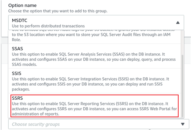 Adding the SSRS option to an Option Group