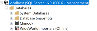 localhost->Databases->WideWorldImporters offline