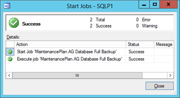 Backup job successful - Description: Backup job executed successfully but no backup was generated