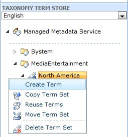 taxonomy term store