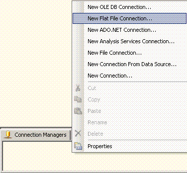Options for new connection in Connection Manager