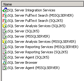 Services on computer running two SQL2005 instances (Developer and Enterprise)