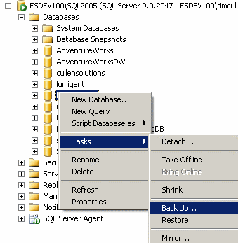 Backing up a database in SQL Server 2005 Management Studio