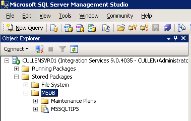 SSIS packages stored in the MSDB database