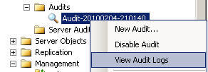view audit logs